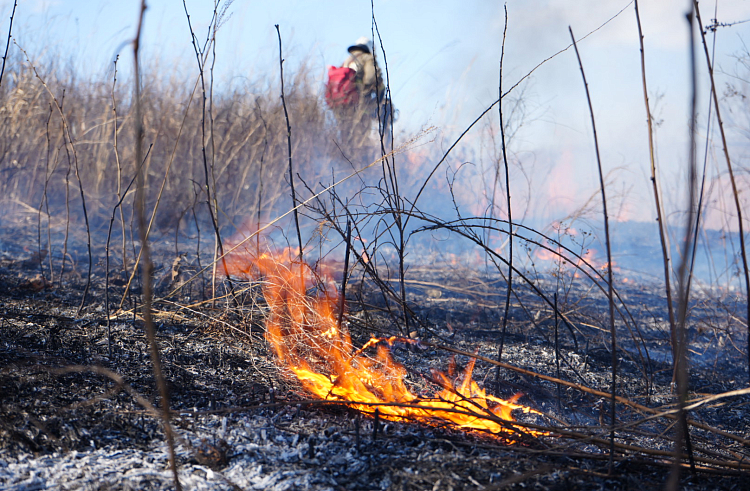 Два природных пожара потушили в Приморье за сутки.