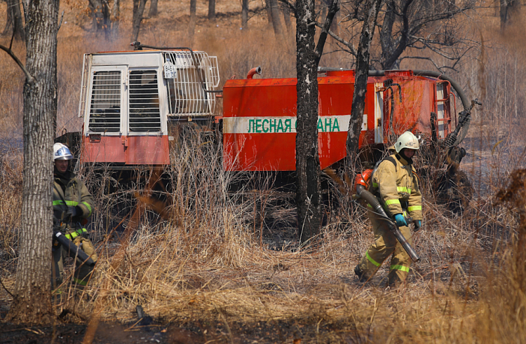Шесть природных пожаров ликвидировали в Приморье за сутки.