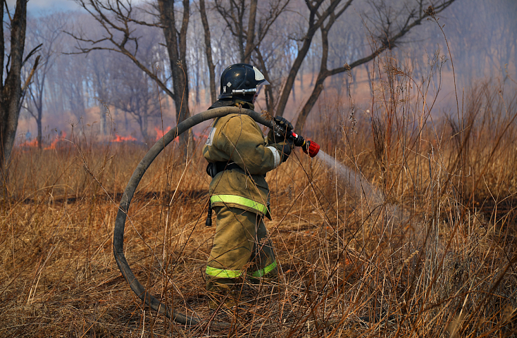 Более 20 природных пожаров ликвидировали в Приморье за сутки.