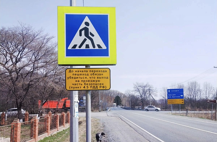 Более 200 пешеходных переходов Приморья станут безопаснее.